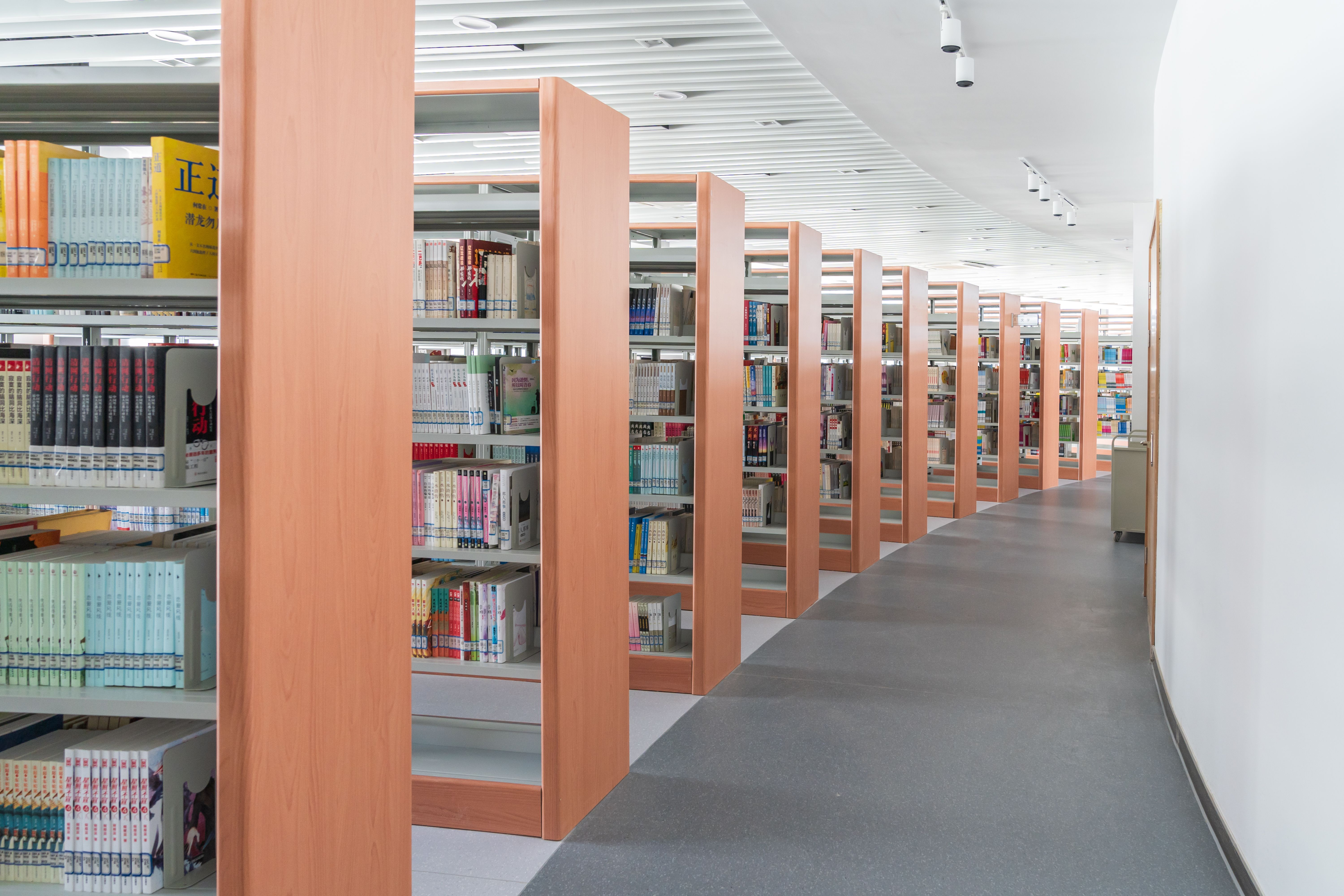 圖書館4.jpg